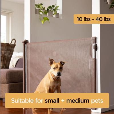 Hakuna Pets Retractable Steel & Mesh Mounted Dog & Cat Gate, 33-in