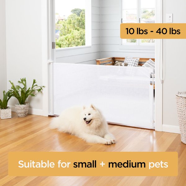 Hakuna Pets Retractable Steel & Mesh Mounted Dog & Cat Gate, 33-in