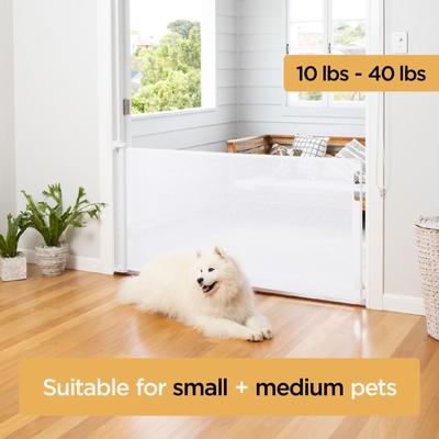 Show full view: Hakuna Pets Retractable Steel & Mesh Mounted Dog & Cat Gate, 33-in, White slide 5 of 12