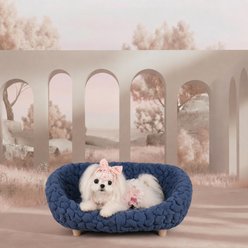 Halinfer Bubble Elevated Cat Sofa Bed, Blue, Medium