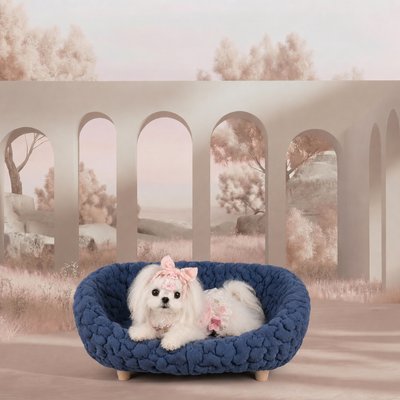 Halinfer Halinfer Bubble Elevated Cat Sofa Bed, Blue, Medium
