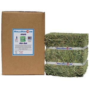 Hall's Hay Alfalfa Mini-Bale Small Pet Food, 6-lb box