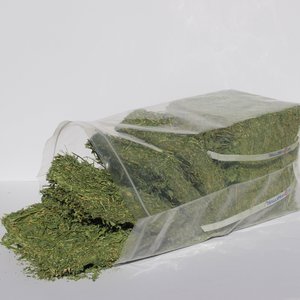 Hall's Hay Alfalfa Mini-Bale Small Pet Food, 6-lb box