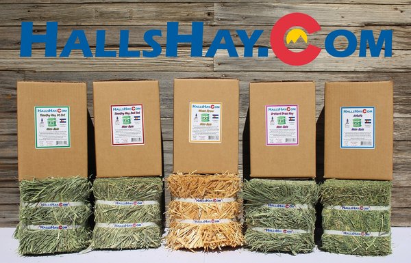 Hall's Hay Alfalfa Mini-Bale Small Pet Food, 6-lb box
