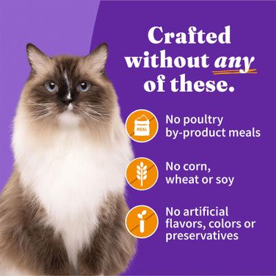 Show full view: Halo Adult Grain-Free Pate Chicken Recipe Wet Cat Food, 5.5-oz can, case of 12 slide 7 of 10