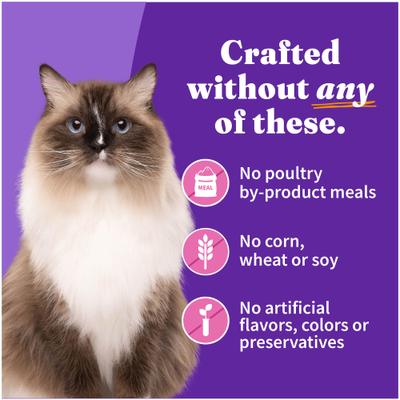 Show full view: Halo Adult Grain-Free Pate Turkey Recipe Wet Cat Food, 5.5-oz can, case of 12 slide 6 of 10
