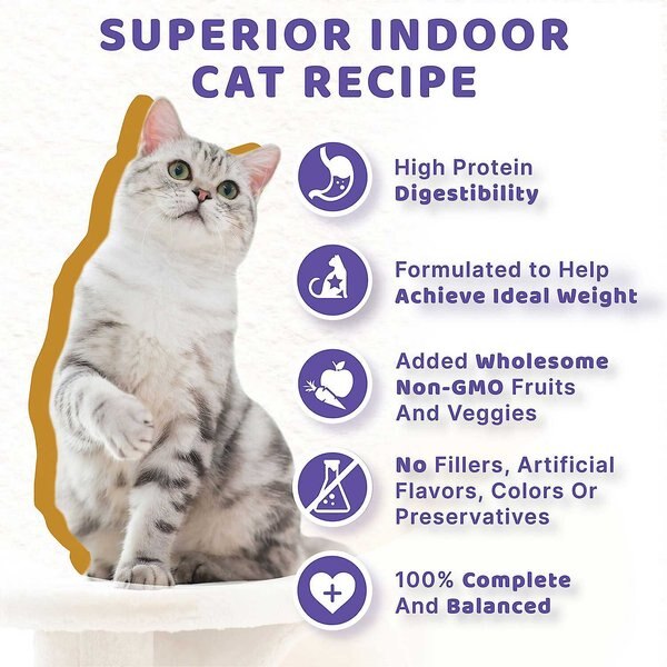 Purina Beyond Mixers+ Digestive Support Turkey & Brown Rice Recipe Wet Cat Food, 1.55-oz pouch, case of 16