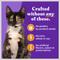 Show in main carousel: Halo Chicken Recipe with Real Whole Chicken Grain-Free Kitten Wet Food, 3-oz can, case of 12 slide 7 of 11