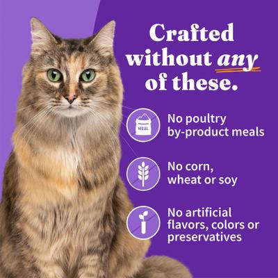 Show full view: Halo Chicken, Salmon, Turkey Variety Pack Adult Grain-Free Soft Pate in Broth Wet Cat Food, 5.5-oz, case of 12 slide 7 of 9
