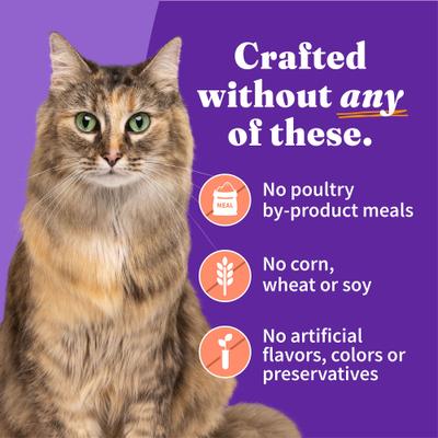 Show full view: Halo Chicken, Shrimp & Crab Adult Grain- Free Soft Pate in Broth Wet Cat Food, 5.5-oz can, case of 12 slide 7 of 13
