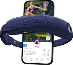 Halo Collar 4 GPS Wireless Fence Real Time Tracking Training Dog Collar, 7 to 30.5-in neck, Midnight