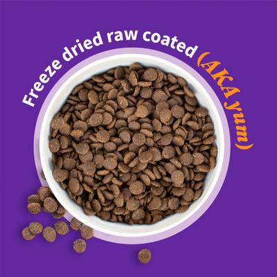 Show full view: Halo Elevate Healthy Grains Chicken Recipe Dry Dog Food, 20-lb bag slide 7 of 11