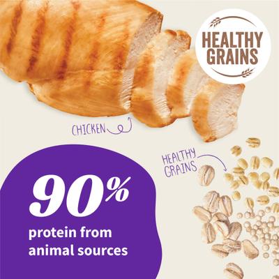 Show full view: Halo Elevate Healthy Grains Puppy Formula Chicken Recipe Dry Dog Food, 10-lb bag slide 4 of 11