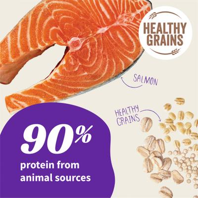 Show full view: Halo Elevate Healthy Grains Salmon Recipe Dry Dog Food, 20-lb bag slide 4 of 11