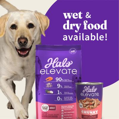 Show full view: Halo Elevate Kettle Cooked Chunky Healthy Grains Chicken & Salmon Stew with Carrots, White Potatoes & Brown Rice Wet Dog Food, 12.7-oz can, case of 6 slide 7 of 9