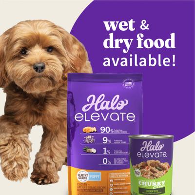Show full view: Halo Elevate Kettle Cooked Chunky Healthy Grains Chicken Stew with Carrots, Pumpkin & Brown Rice Wet Dog Food, 12.7-oz can, case of 6 slide 7 of 9