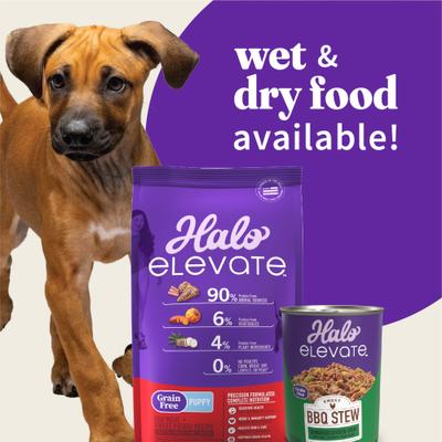 Show full view: Halo Elevate Smoky BBQ Shredded Chicken Stew with Sweet Potatoes & Green Beans Grain-Free Wet Dog Food, 12.7-oz can, case of 6 slide 7 of 9