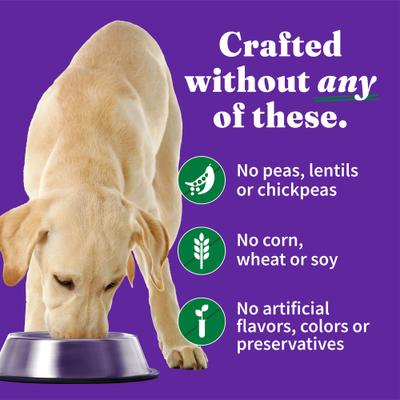 Show full view: Halo Elevate Smoky BBQ Shredded Chicken Stew with Sweet Potatoes & Green Beans Grain-Free Wet Dog Food, 12.7-oz can, case of 6 slide 6 of 9