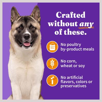 Show full view: Halo Holistic Chicken Recipe Senior Wet Dog Food, 13.2-oz can, bundle of 12  slide 7 of 10