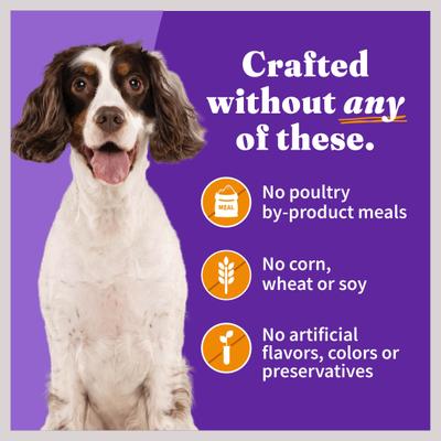 Show full view: Halo Holistic Chicken Recipe in Broth Adult Canned Dog Food, 5.5-oz case of 12 slide 7 of 9