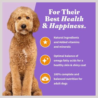 Show full view: Halo Holistic Complete Digestive Health Chicken & Brown Rice Dog Food Recipe Adult Dry Dog Food, 3.5-lb bag slide 8 of 12