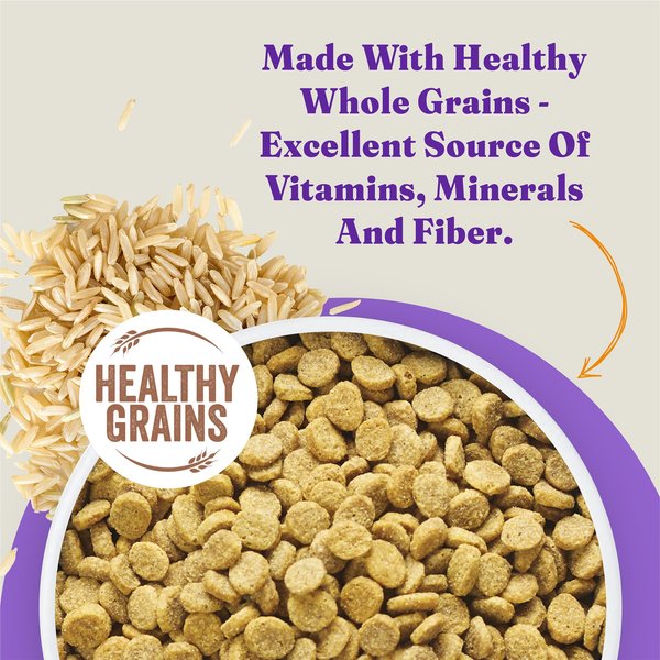 Curated visual reference: Halo Holistic Complete Digestive Health Chicken Brown Rice Dog Food Photo Inspiration