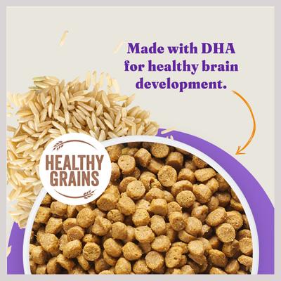 Show full view: Halo Holistic Complete Digestive Health Chicken & Brown Rice Recipe Puppy Dry Dog Food, 10-lb bag slide 6 of 13