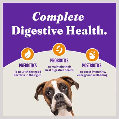 Show full view: Halo Holistic Complete Digestive Health Chicken & Brown Rice Recipe Puppy Dry Dog Food, 3.5-lb bag slide 9 of 13