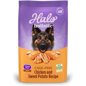 Halo Holistic Complete Digestive Health Grain-Free Chicken & Sweet Potato Dog Food Recipe Adult Dry Dog Food, 21-lb bag