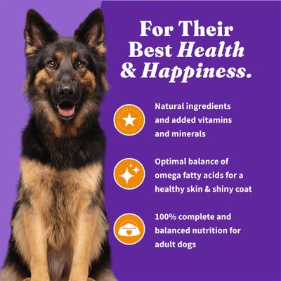 Show full view: Halo Holistic Complete Digestive Health Grain-Free Chicken & Sweet Potato Dog Food Recipe Adult Dry Dog Food, 21-lb bag slide 8 of 12
