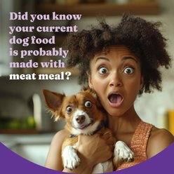 Halo Holistic Complete Digestive Health Grain-Free Chicken & Sweet Potato Dog Food Recipe Adult Dry Dog Food, 3.5-lb bag slide 2 of 9