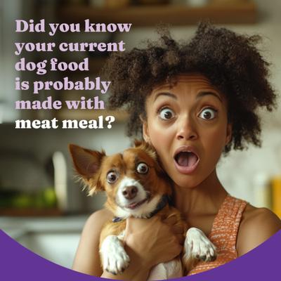 Show full view: Halo Holistic Complete Digestive Health Grain-Free Chicken & Sweet Potato Dog Food Recipe Small Breed Dry Dog Food, 3.5-lb bag slide 4 of 12