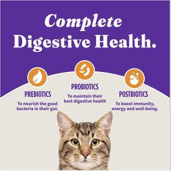 Halo Holistic Kitten Food Grain-Free Cage-Free Chicken Recipe Complete Digestive Health Dry Cat Food, 3-lb bag slide 2 of 9