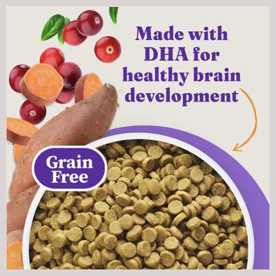 Show full view: Halo Holistic Kitten Food Grain-Free Cage-Free Chicken Recipe Complete Digestive Health Dry Cat Food, 3-lb bag slide 9 of 13