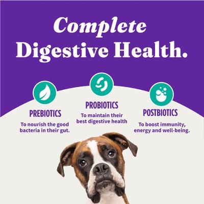 Show full view: Halo Holistic Vegan Complete Digestive Health Plant-Based Recipe with Kelp Adult Formula Dry Dog Food, 10-lb bag slide 8 of 10