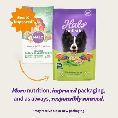 Show full view: Halo Holistic Vegan Dog Food Complete Digestive Health Plant-Based Recipe with Superfoods Adult Formula Dry Dog Food Bag, 3.5-lb bag slide 3 of 11