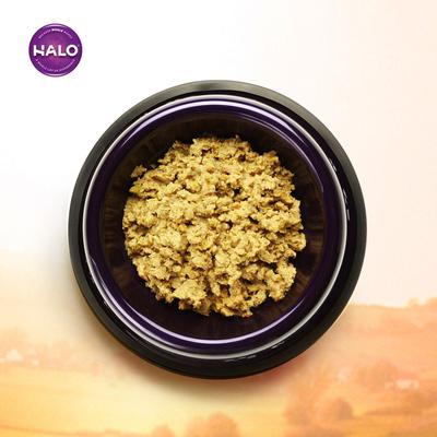 Show full view: Halo Holistic Vegan Dog Food Complete Digestive Health Plant-Based Recipe with Superfoods Dry Food + Garden of Vegan Recipe Canned Dog Food slide 5 of 9