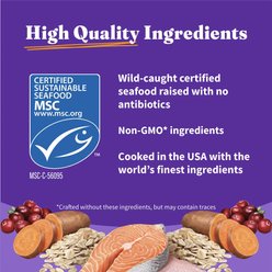 Halo Holistic Wild-Caught Salmon & Whitefish Recipe Dry Cat Food, 3-lb bag slide 2 of 9