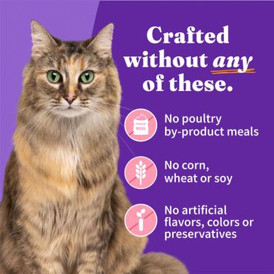 Show full view: Halo Salmon Adult Grain-Free Soft Pate in Broth Wet Cat Food, 5.5-oz can, case of 12 slide 6 of 9