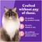 Show in main carousel: Halo Salmon Recipe Pate Grain-Free Indoor Cat Canned Cat Food, 5.5-oz, case of 12 slide 6 of 10