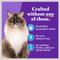Show in main carousel: Halo Whitefish Recipe with Real Whole Whitefish Pate Grain-Free Indoor Cat Wet Cat Food, 5.5-oz can, case of 12 slide 7 of 11