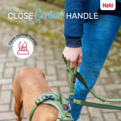 Show full view: Halti Anatomy Multi Lead Polyester Bungee Reflective Dog Leash, Grey, Small: 6.6-ft long, 1/2-in wide slide 6 of 8