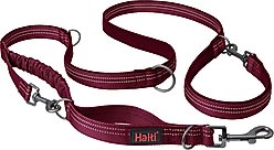 Halti Anatomy Multi Lead Polyester Bungee Reflective Dog Leash, Magenta, Small: 6.6-ft long, 1/2-in wide