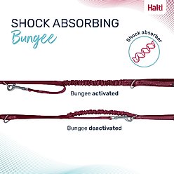 Halti Anatomy Multi Lead Polyester Bungee Reflective Dog Leash, Magenta, Small: 6.6-ft long, 1/2-in wide slide 2 of 6