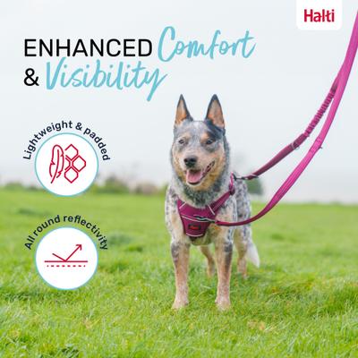 Show full view: Halti Anatomy Multi Lead Polyester Bungee Reflective Dog Leash, Magenta, Small: 6.6-ft long, 1/2-in wide slide 4 of 8