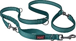 Halti Anatomy Multi Lead Polyester Bungee Reflective Dog Leash, Teal, Large: 6.6-ft long, 1-in wide