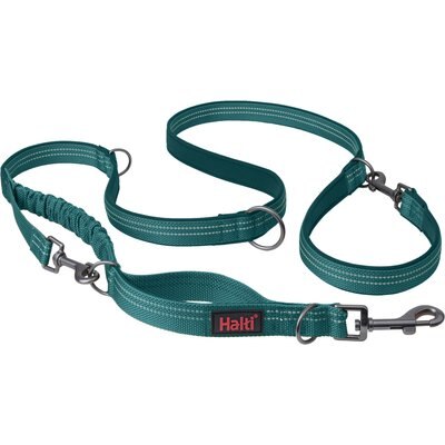 Halti Halti Anatomy Multi Lead Polyester Bungee Reflective Dog Leash, Teal, Small: 6.6-ft long, 1/2-in wide
