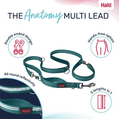 Show full view: Halti Anatomy Multi Lead Polyester Bungee Reflective Dog Leash, Teal, Small: 6.6-ft long, 1/2-in wide slide 2 of 8