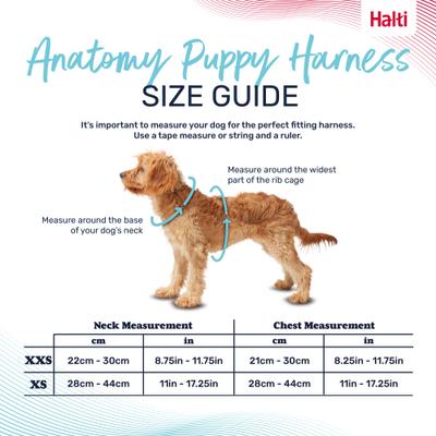Show full view: Halti Anatomy Puppy Reflective Step In Dog Harness, Grey, X-Small: 11 to 17.25-in chest slide 4 of 8