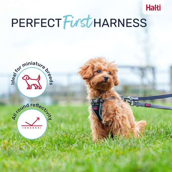 Halti Anatomy Puppy Reflective Step In Dog Harness